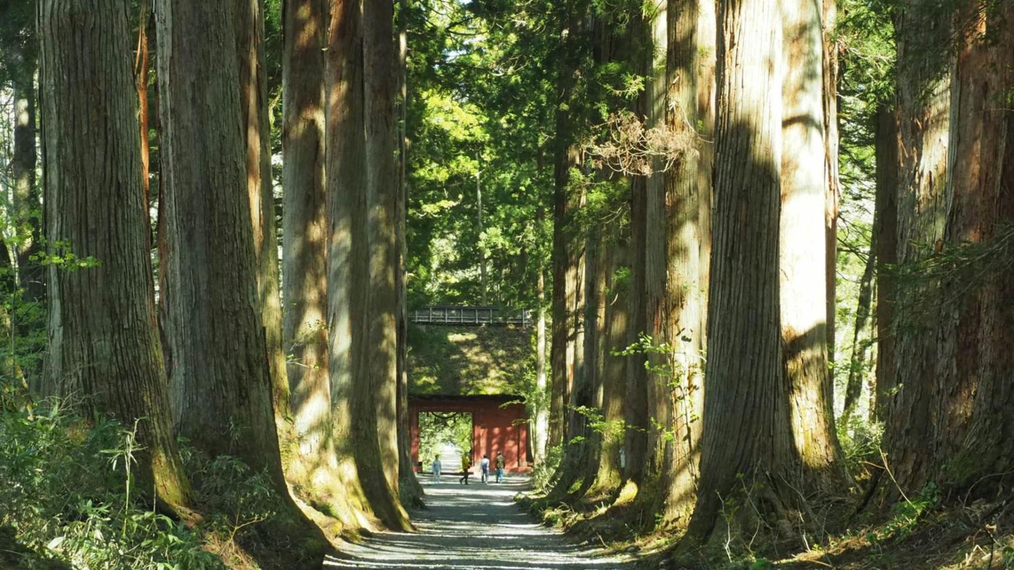 Toyoko Inn Nagano-Eki Higashi-Guchi Esterno foto